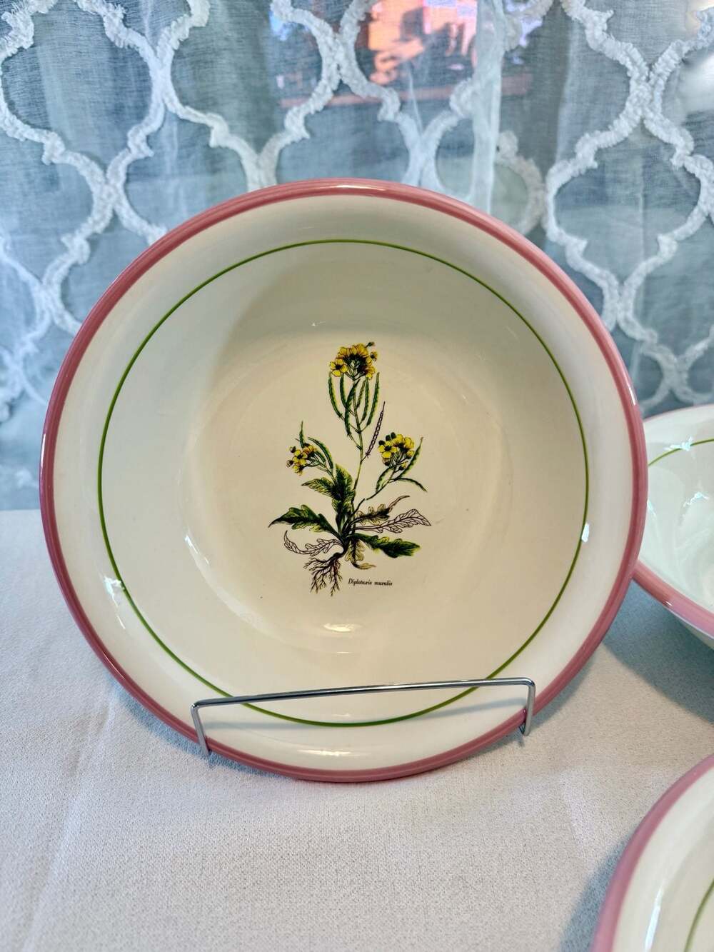Set of 4 Large Primula Italian Botanical Soup Bowls - Picture 7 of 13